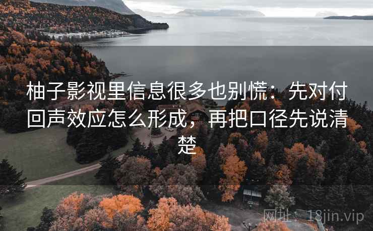 柚子影视里信息很多也别慌：先对付回声效应怎么形成，再把口径先说清楚