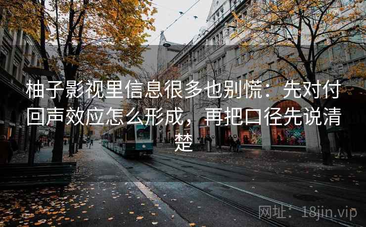 柚子影视里信息很多也别慌：先对付回声效应怎么形成，再把口径先说清楚